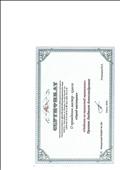 Сертификат о проведении мастер-класса "Город мастеров" Поделки из пушистой проволоки